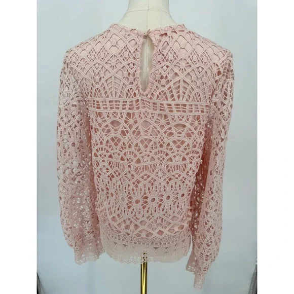 Ultra Pink Lace Sheer Blouse Long Sleeve Round‎ Neck Women's Size M - Picture 6 of 7